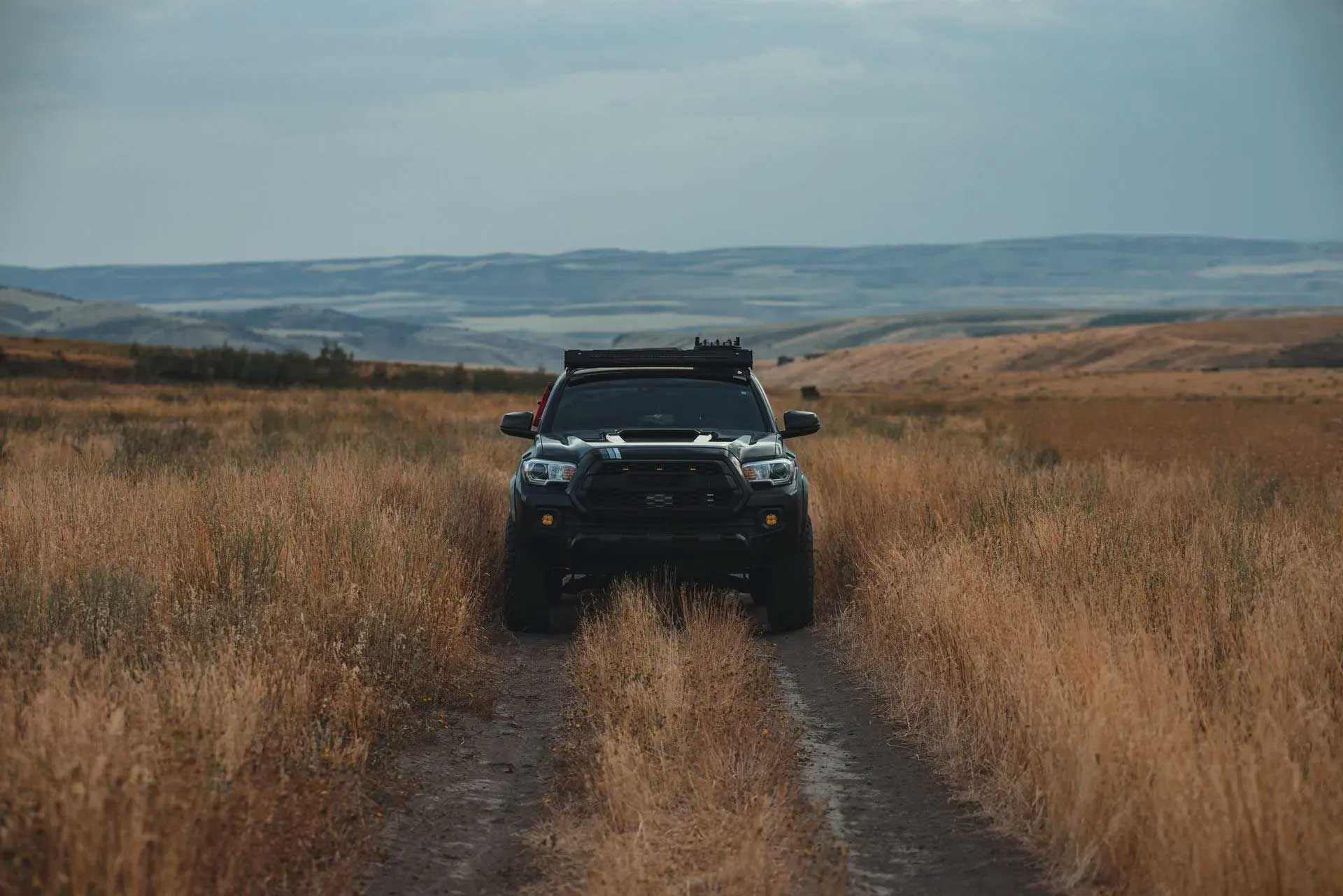 Black truck on dirt road in tall golden grass, rolling hills in background.