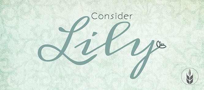 The word lily is written in cursive on a green background.