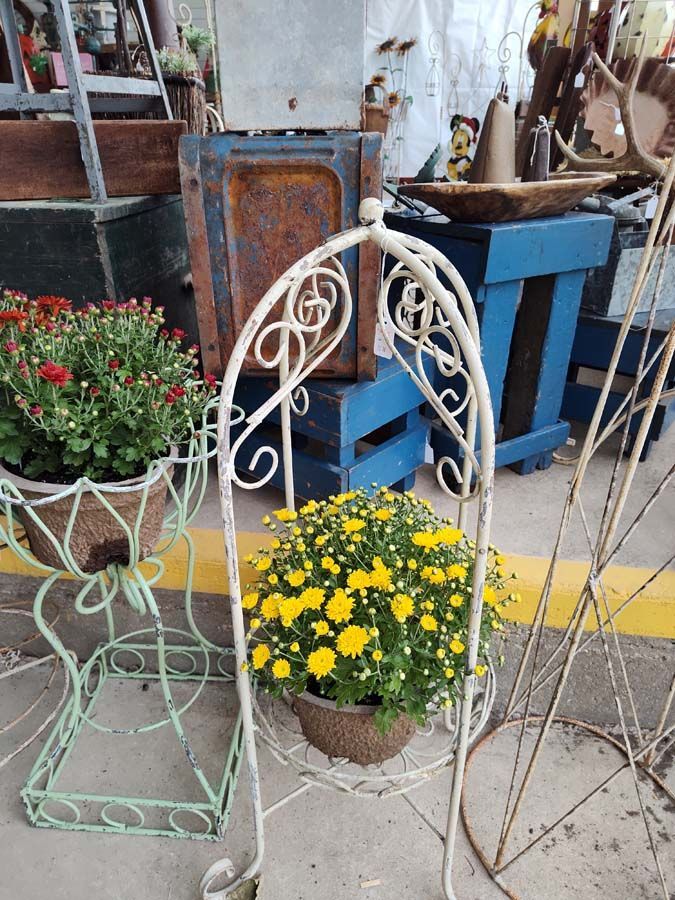 Metal plant stands holding potted yellow and red chrysanthemums, in a shop setting.