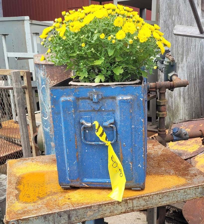 Blue metal container holding yellow flowers; sits on a rusty, yellow metal surface outdoors.