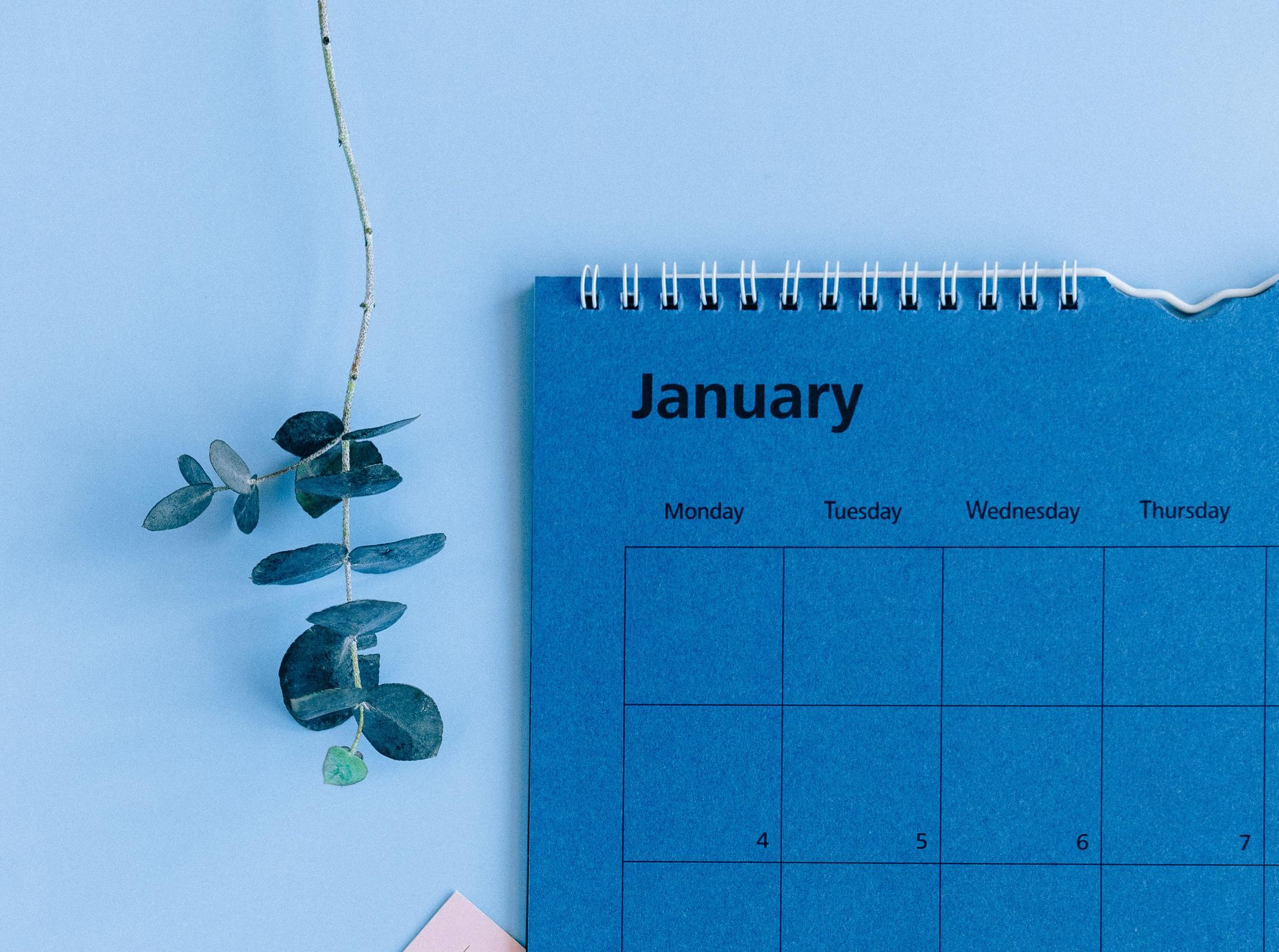 Blue January calendar, pink notes, and pregnancy test on blue surface.