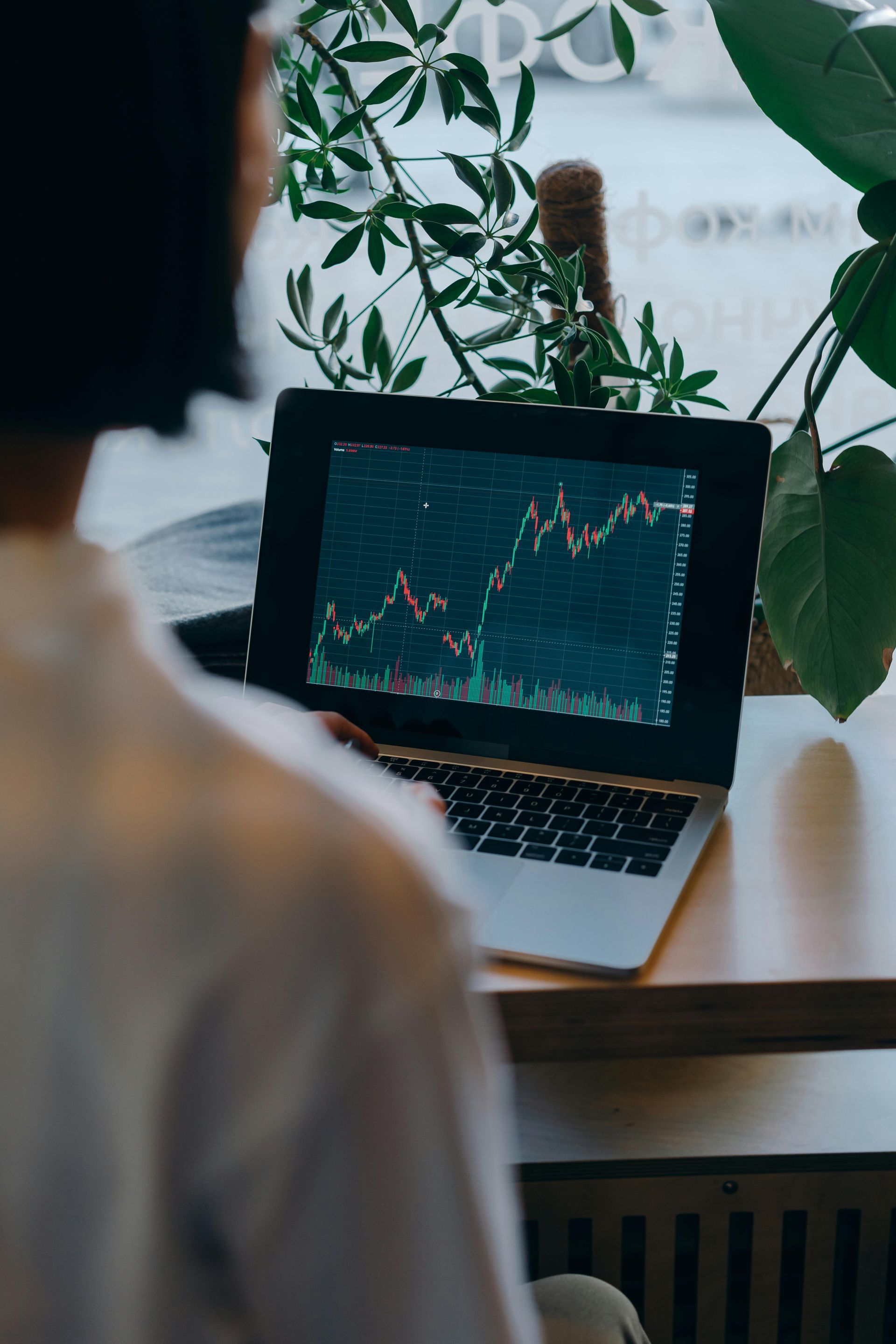 Person viewing stock market chart on a laptop, near a window with greenery.