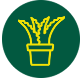Icona vendita piante