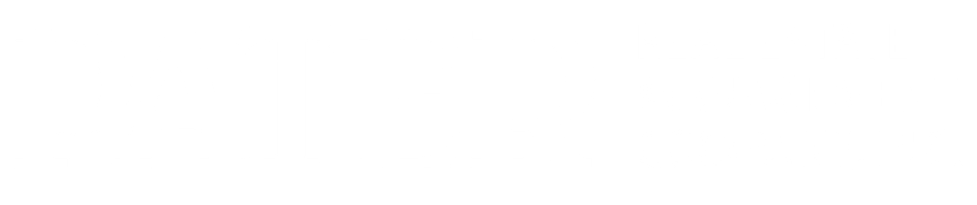 Pater Real Estate logo white - footer, go to homepage