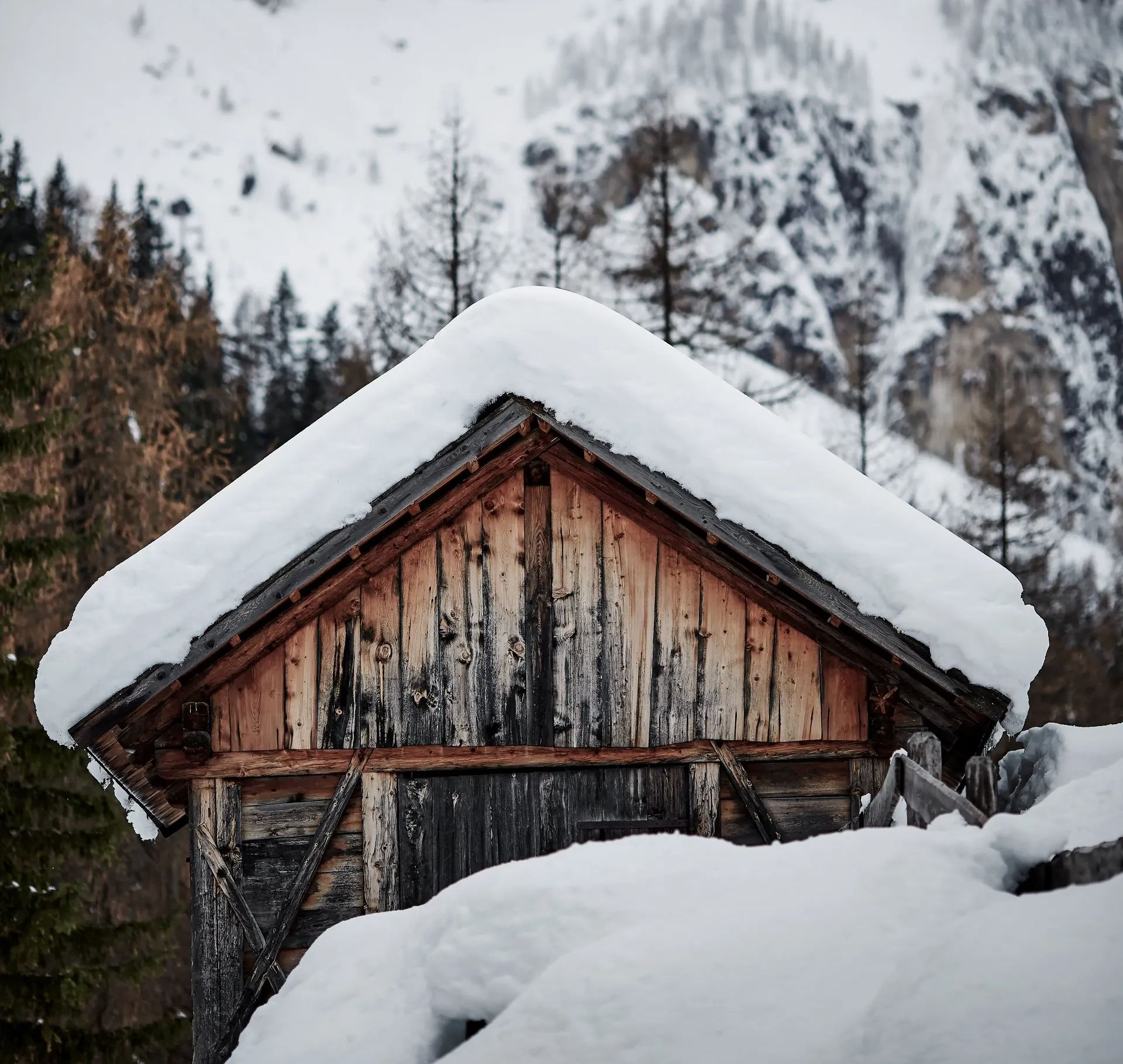 Trapper cabin 25 miles outside of Anchorage Alaska