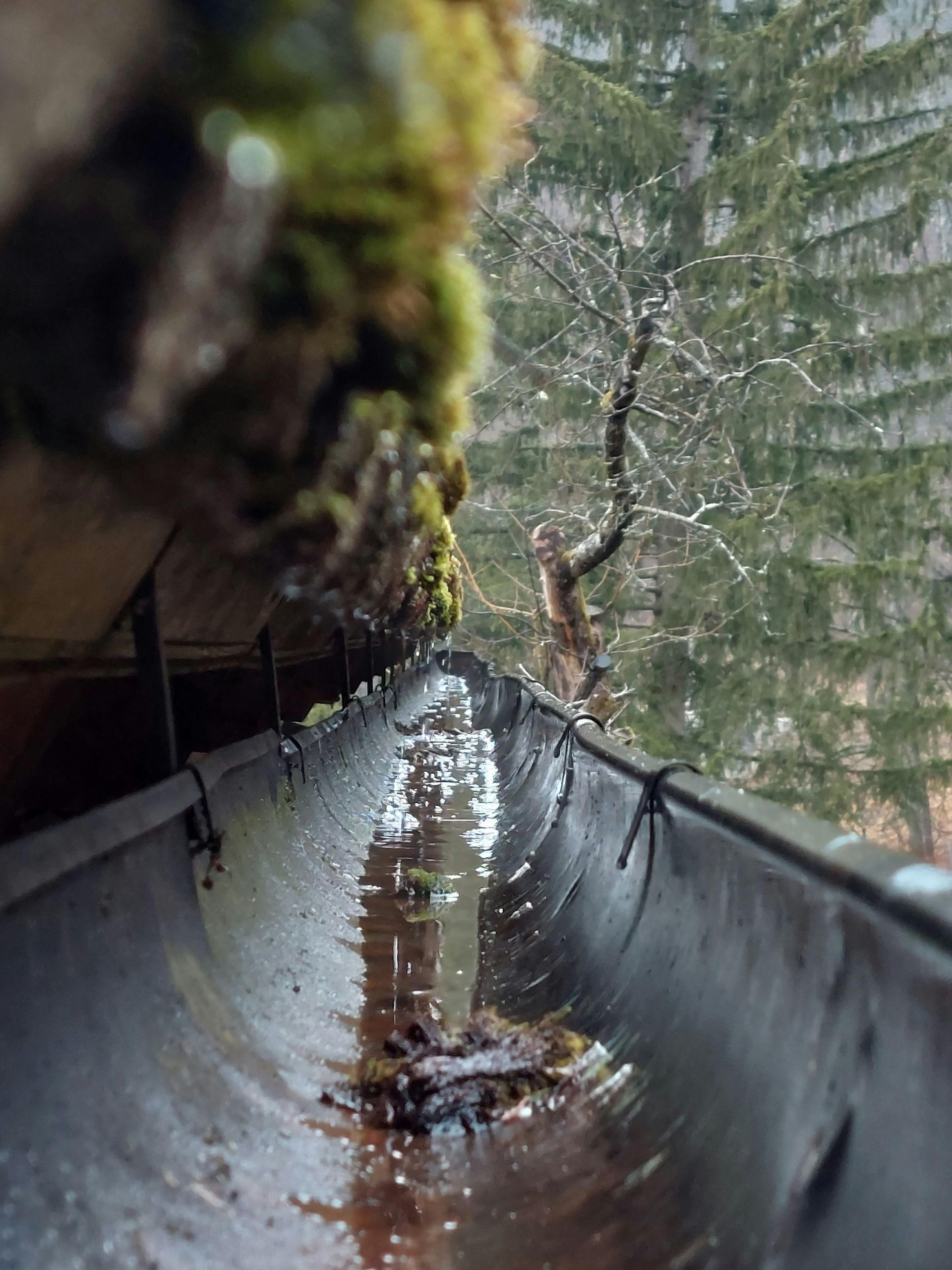 Old cabin gutters in Anchorage Alaska. 