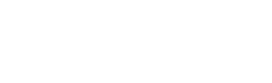 Balabushka Cue Company Logo