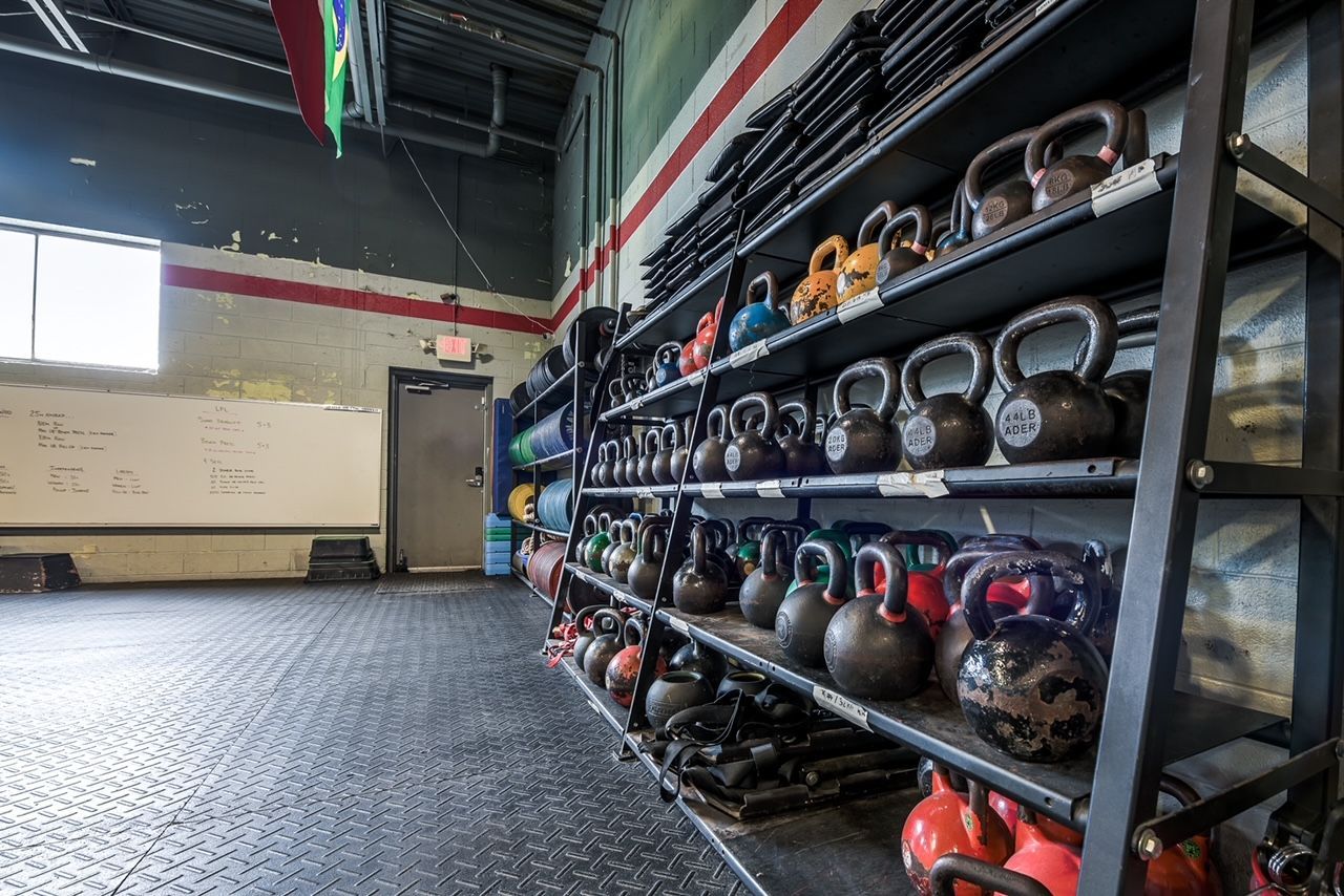 A bunch of kettlebells are lined up on shelves in a gym.