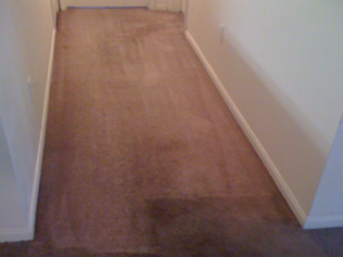 carpet cleaning services newark de