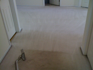 carpet cleaning services newark de