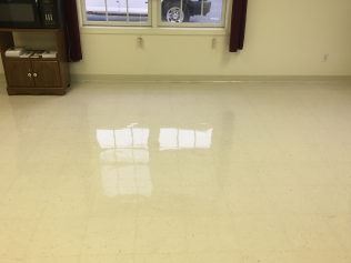 carpet cleaning services newark de