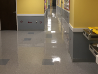 carpet cleaning services newark de