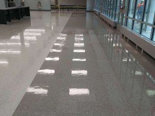 carpet cleaning services newark de