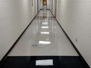 carpet cleaning services newark de