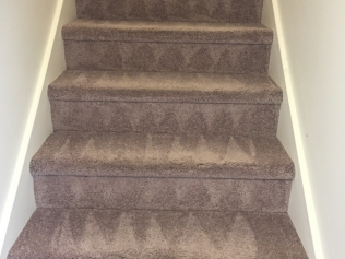 carpet cleaning services newark de