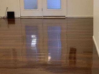 carpet cleaning services newark de