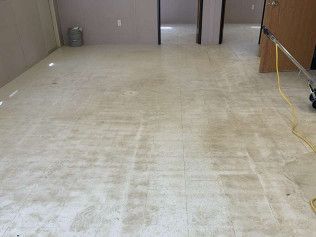 carpet cleaning services newark de