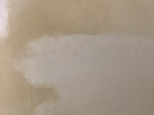 carpet cleaning services newark de