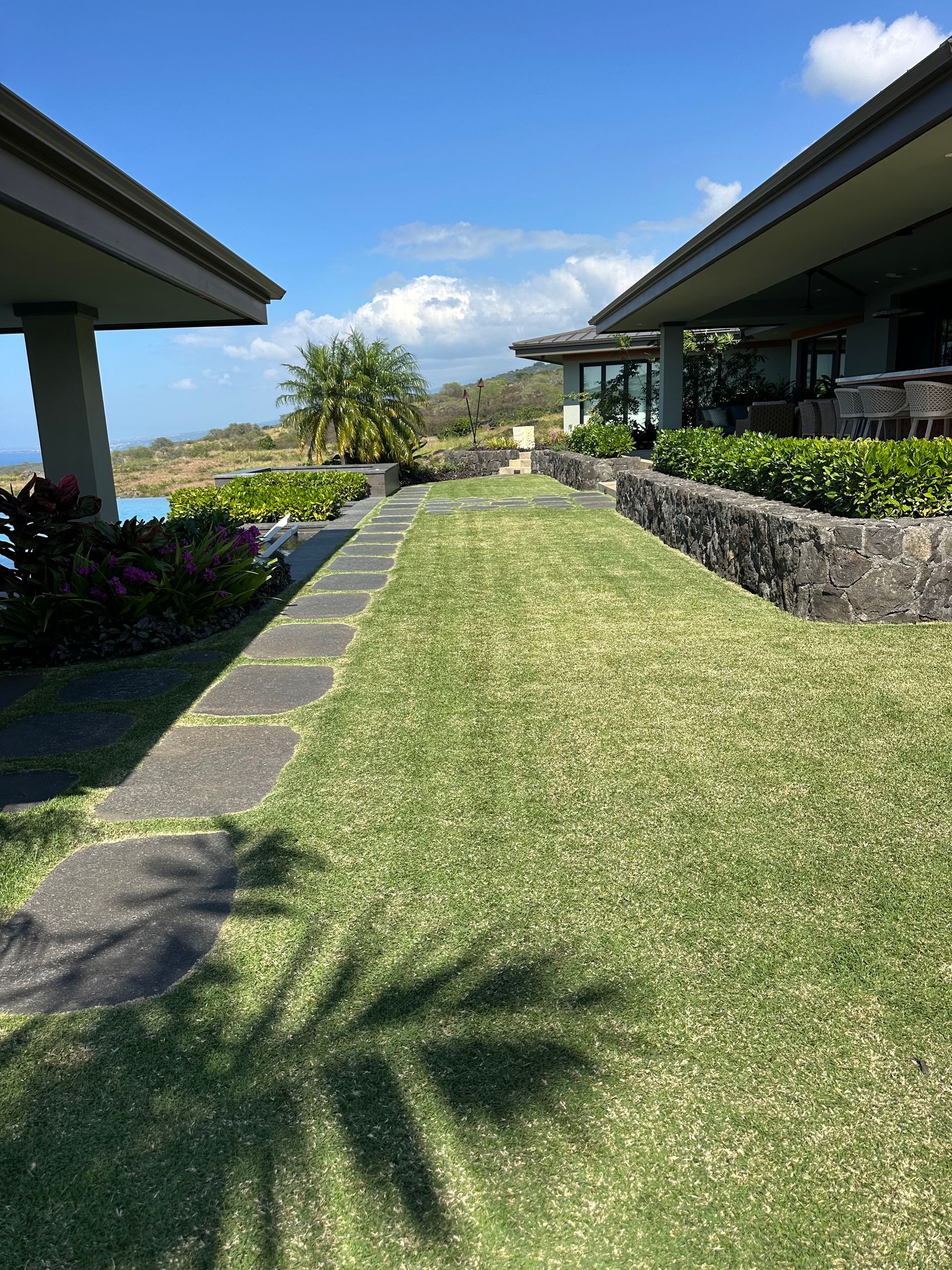 A grassy walkway lined with stone pavers connects two building wings under a bright blue sky with tropical landscaping.