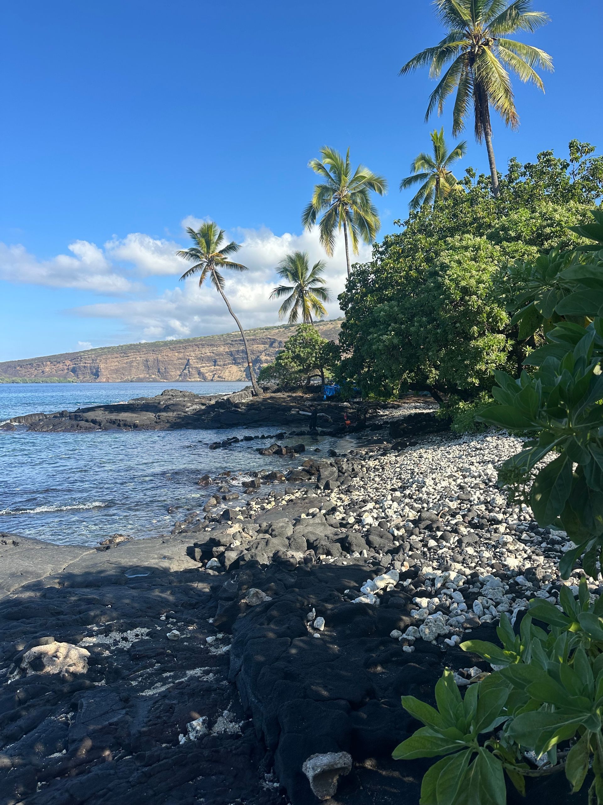 A sunny beach with dark volcanic rock, white stones, palm trees, and a distant coastline under a clear blue sky.