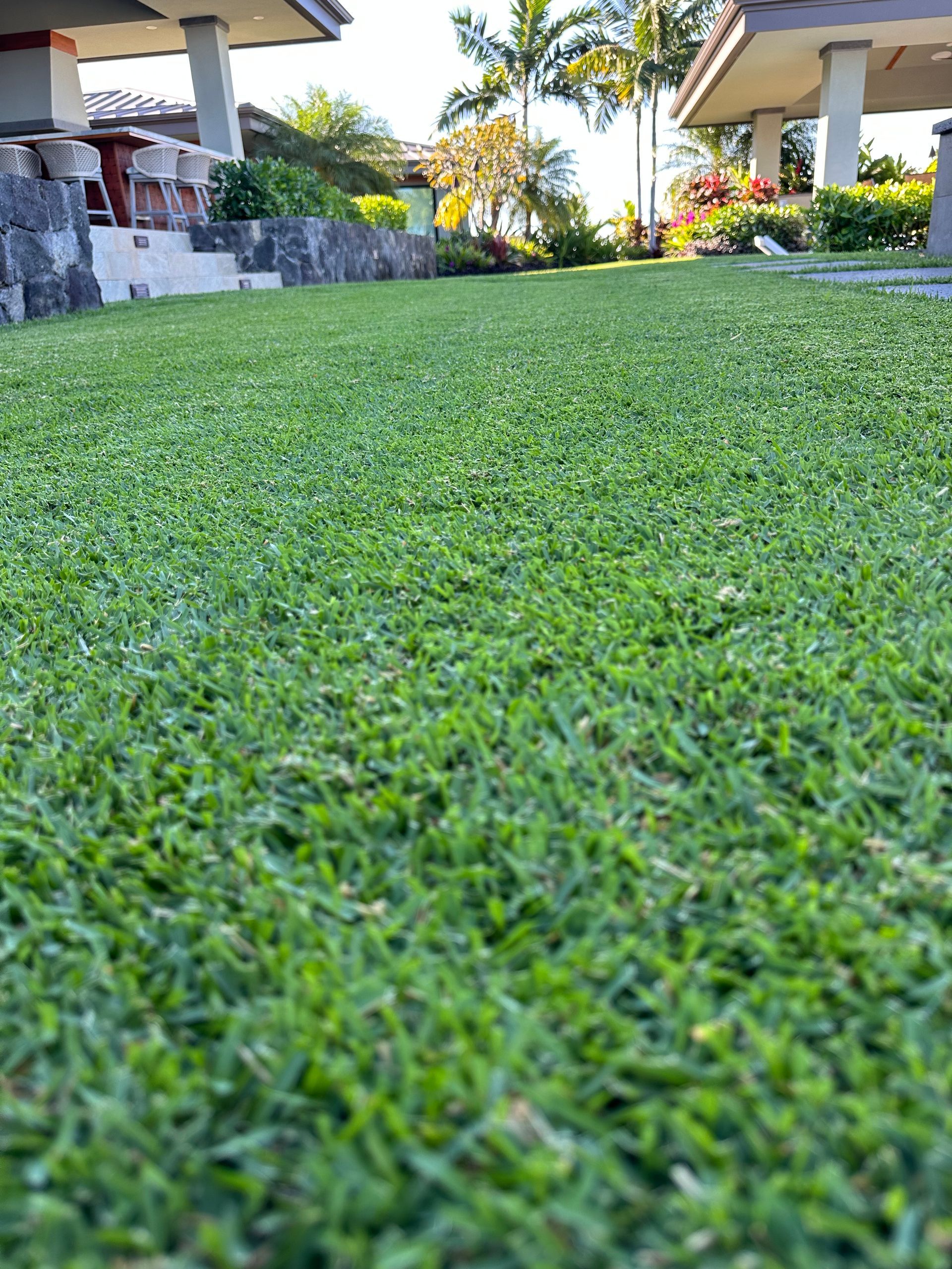 A low-angle view of a bright green lawn leading toward outdoor patios with stone pillars and palm trees.