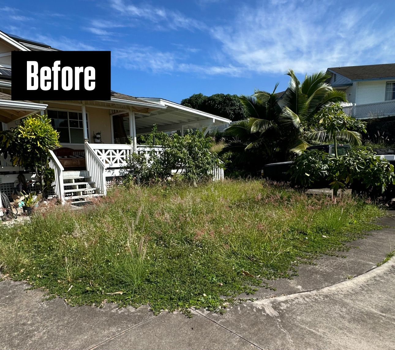A house front yard covered in overgrown weeds and tall grass with a porch, seen on a sunny day.