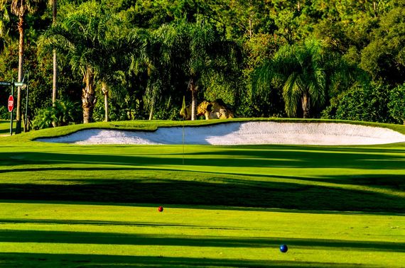 Golf course scene: green grass, sand trap, trees, blue and red golf balls on tee.