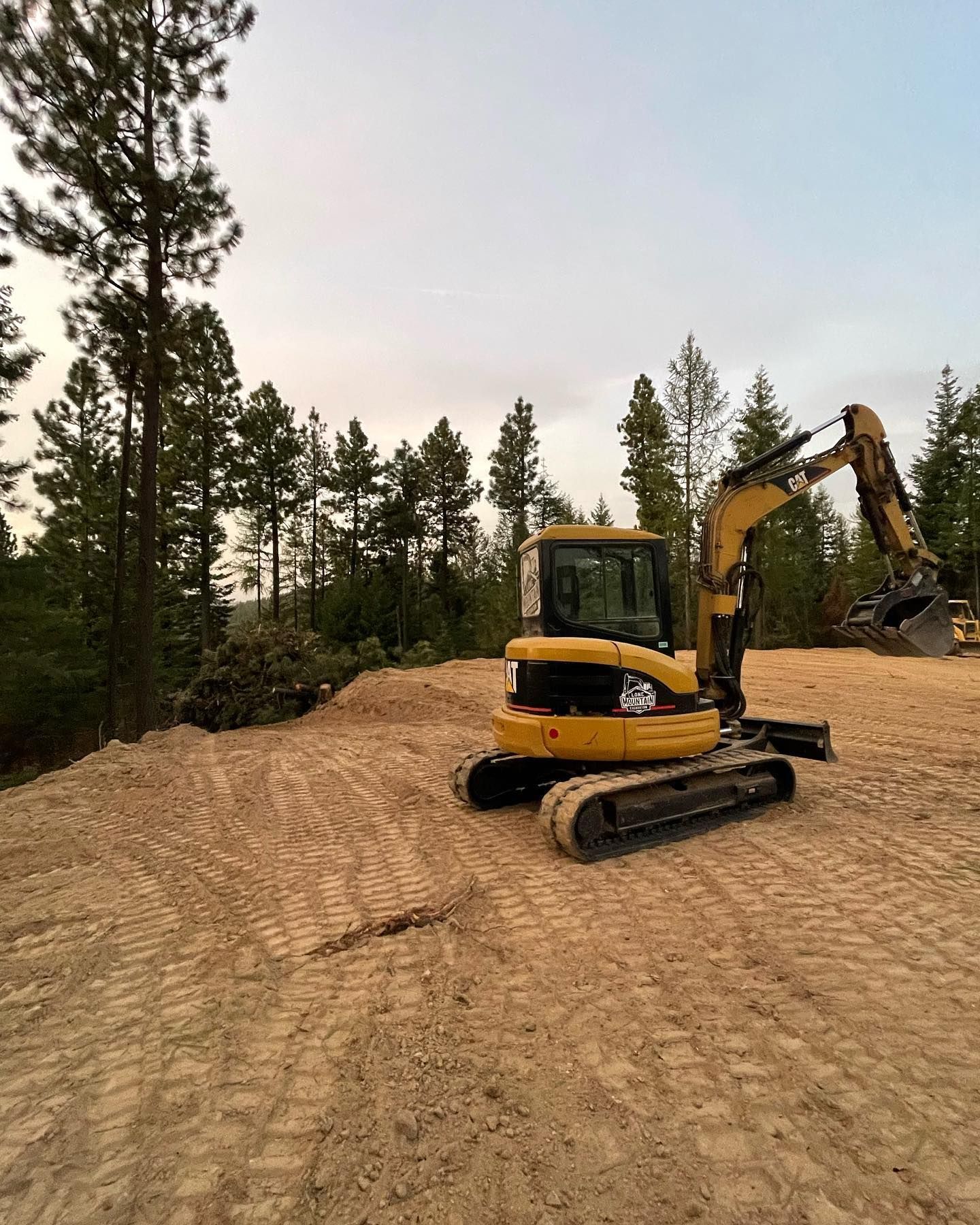 Yellow excavator on a dirt surface clearing a forest area under an overcast sky.