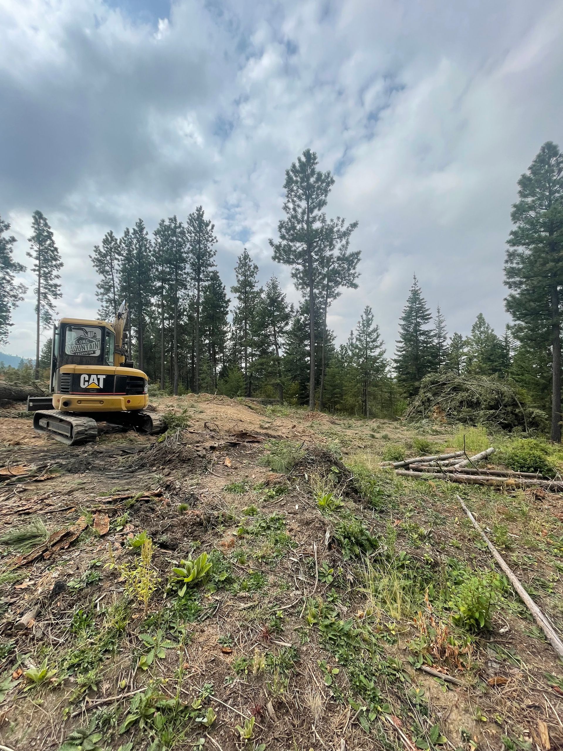 Yellow excavator clearing a forest area under cloudy sky. Cut trees and brush visible.