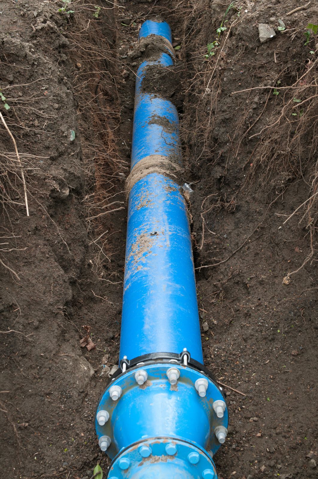 Blue water pipe in a trench, connected with flanges and buried in brown soil.
