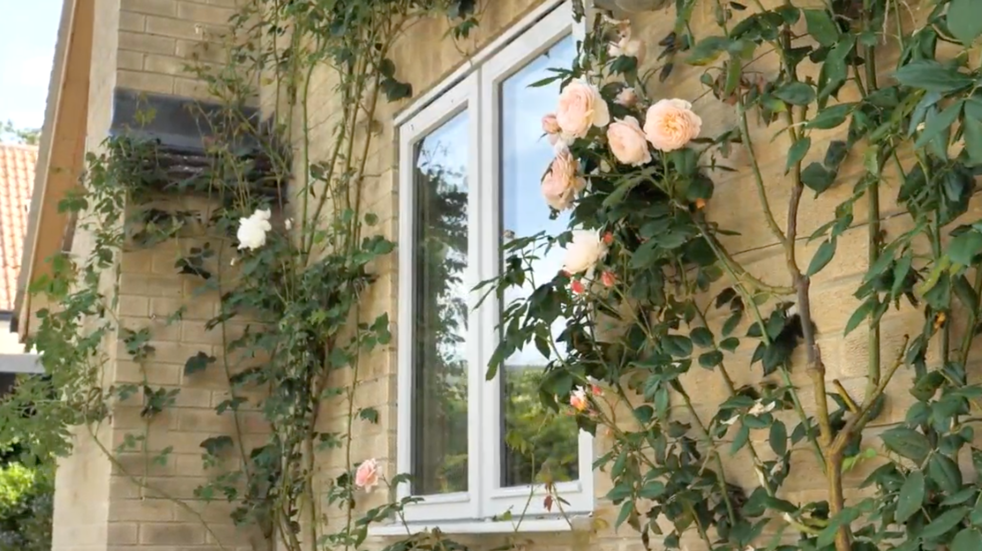 Slim timber frames