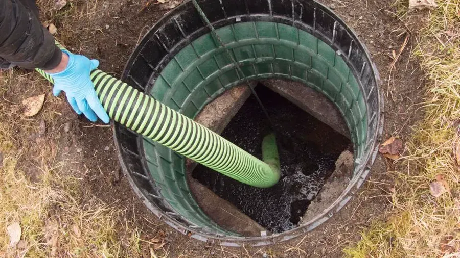 The Role of Bacteria in Keeping Septic Systems Healthy