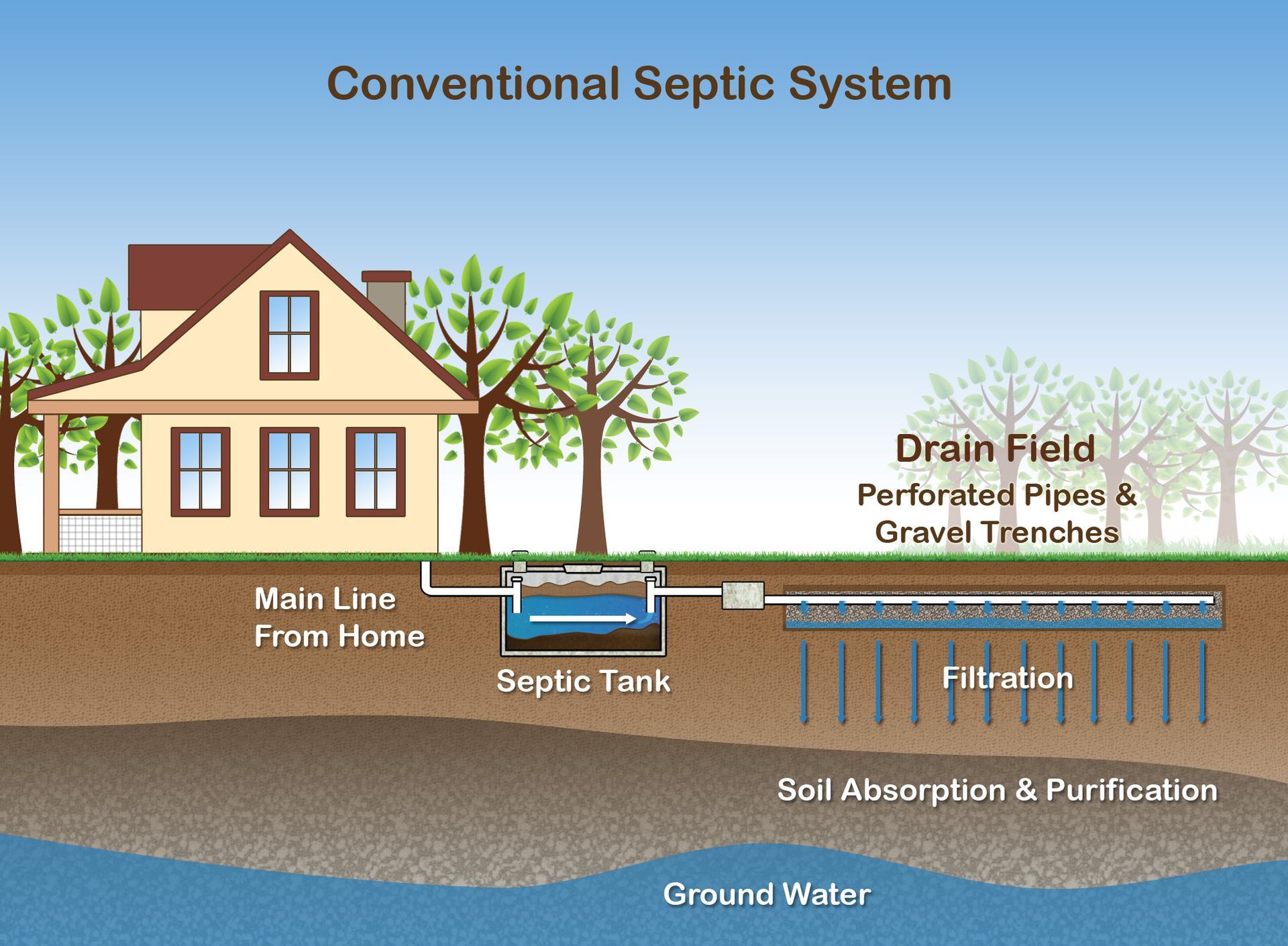 Septic System 101 from Clean earth septic service in Van Etten NY