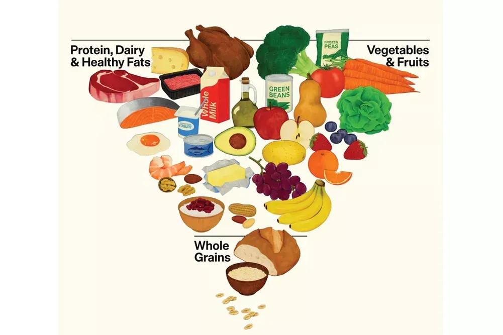 New inverted pyramid illustration: protein, dairy, fruits, vegetables, whole grains.