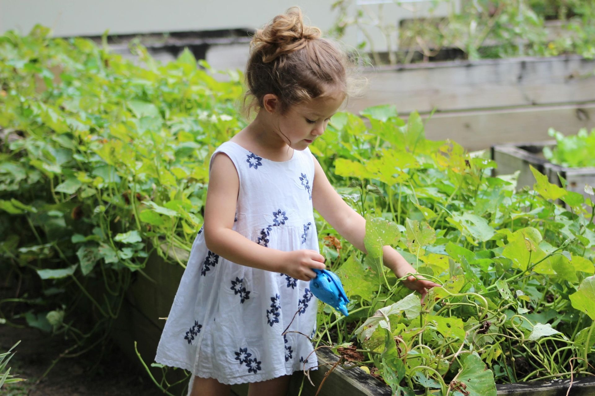 Girl in white dress waters plants in garden.