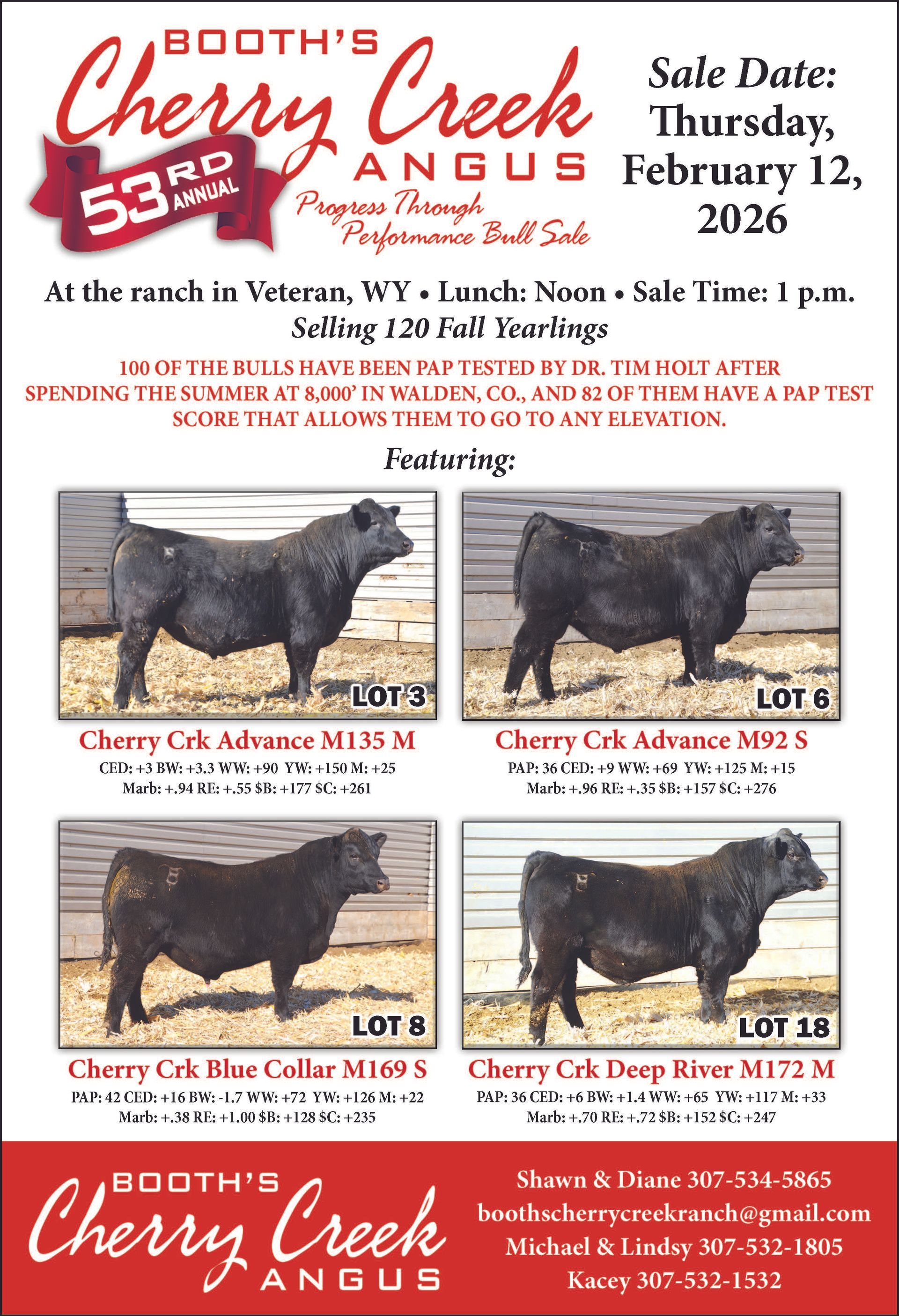 Progress Thru Performance Bull Sale