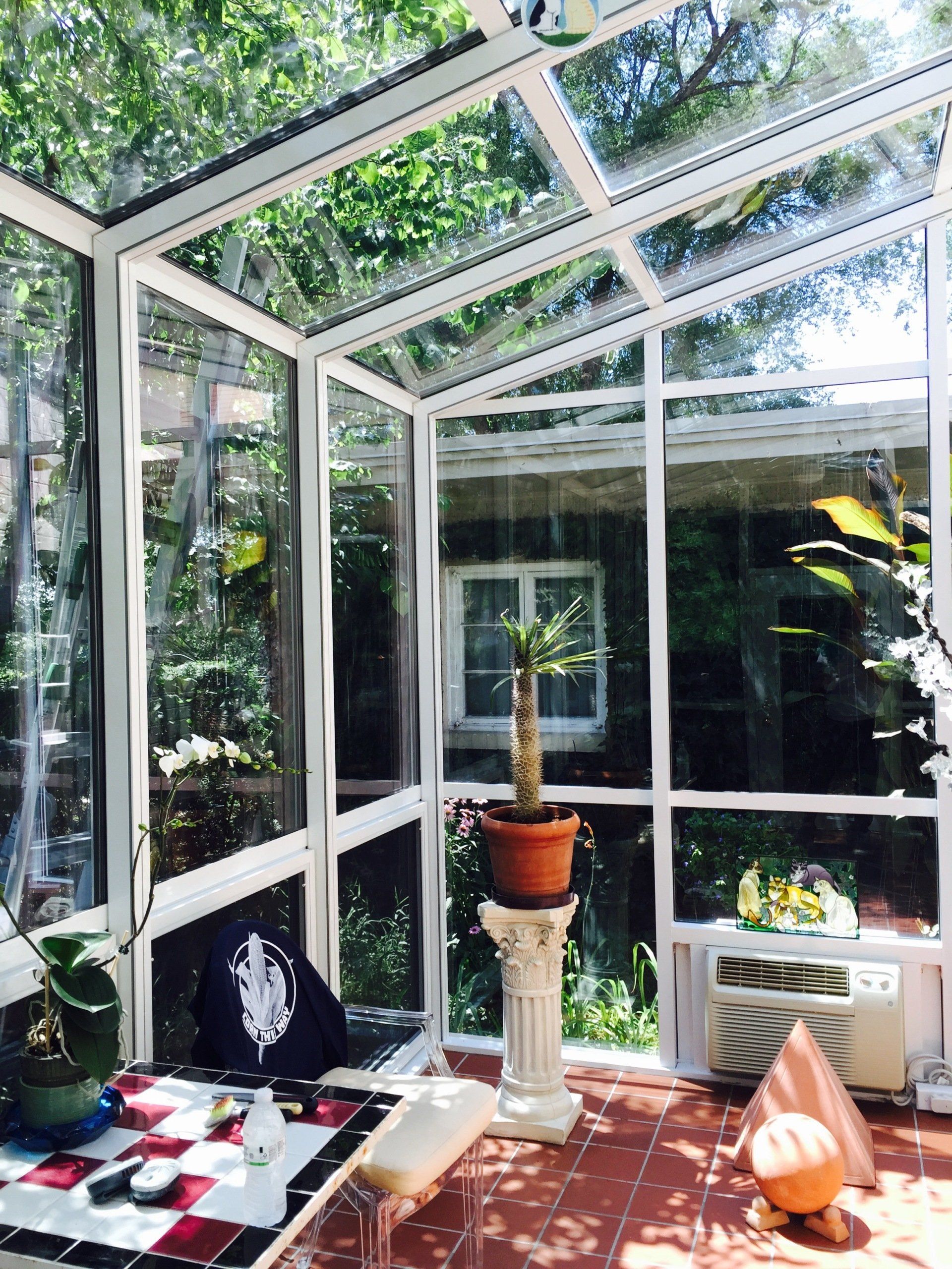 a room with a lot of windows and a potted plant on a table