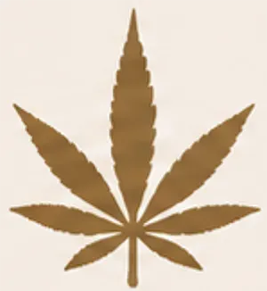 Brown cannabis leaf icon on a light background