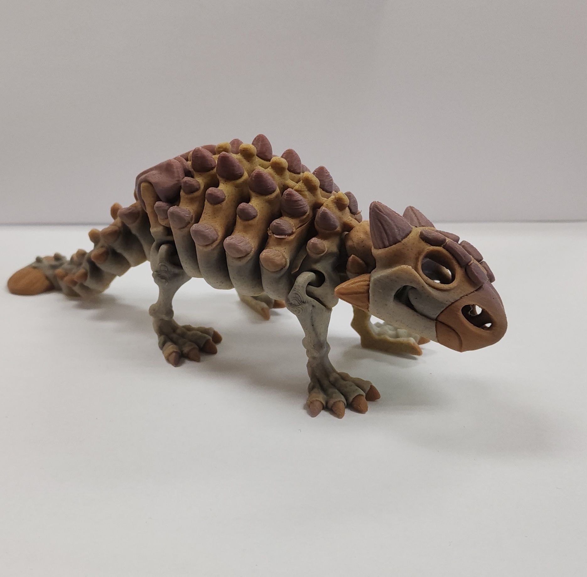 Skeleton Ankylosaurus
