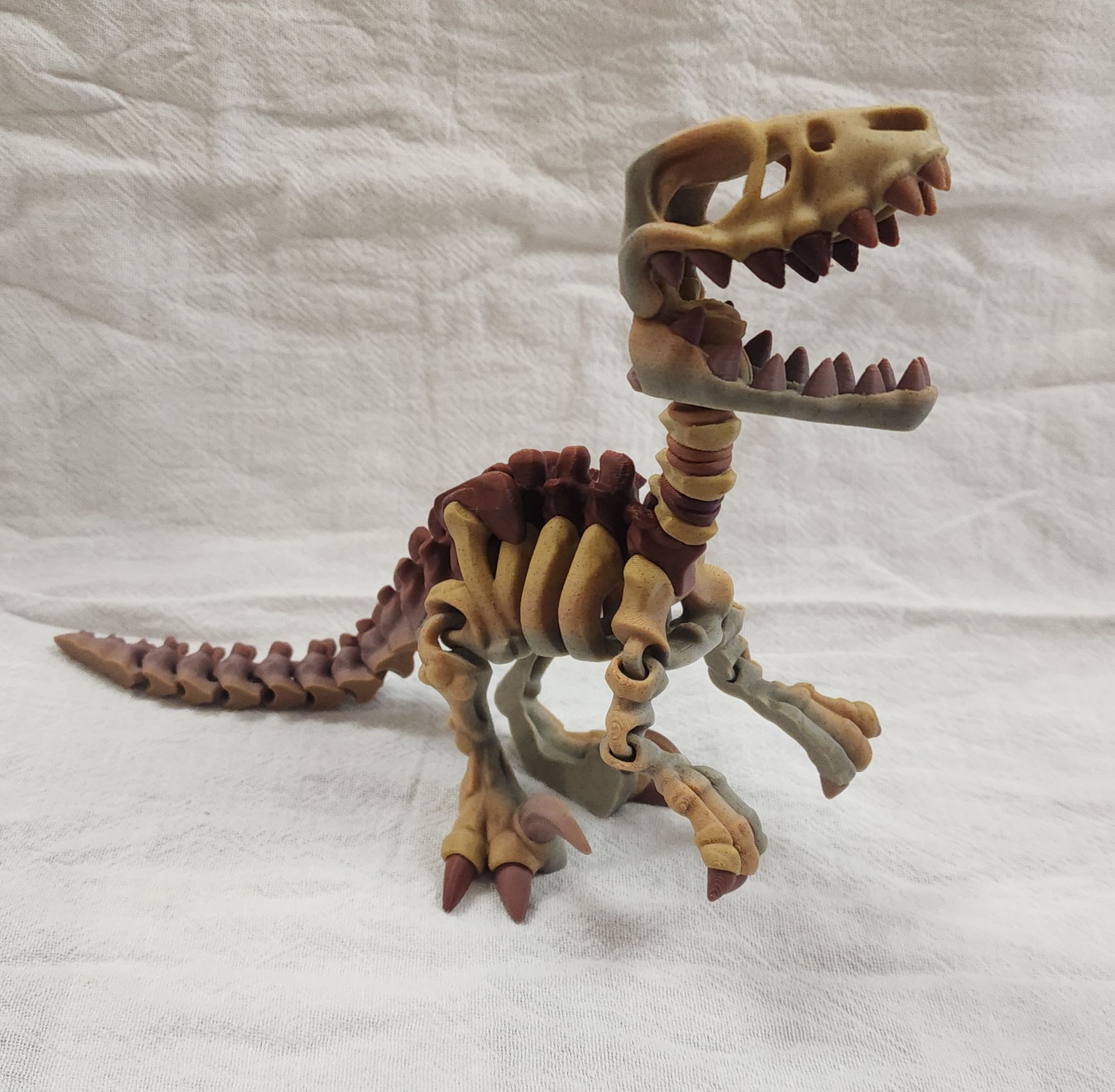 Velociraptor Skeleton Flexi