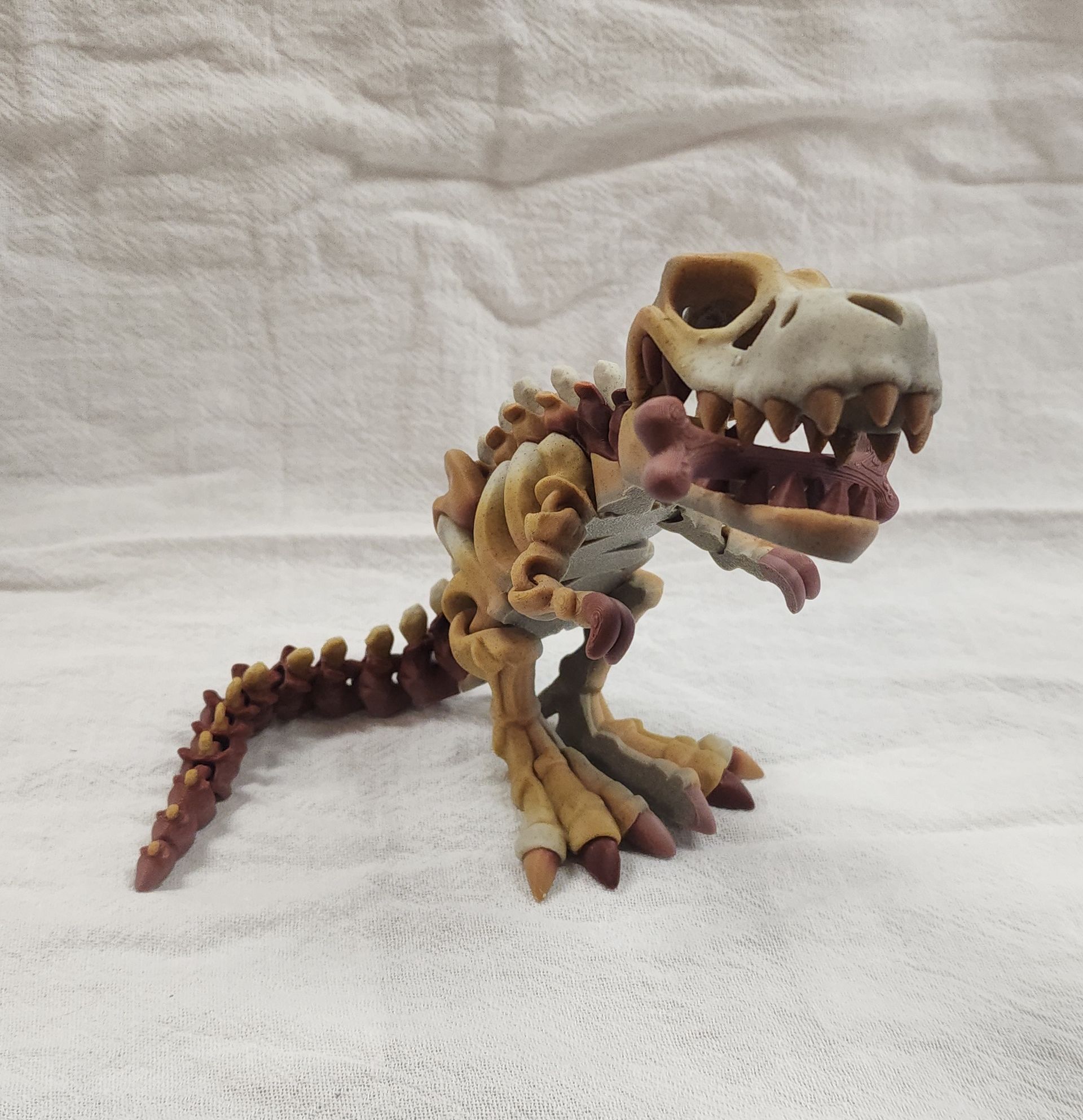 T-rex Skeleton Flexi