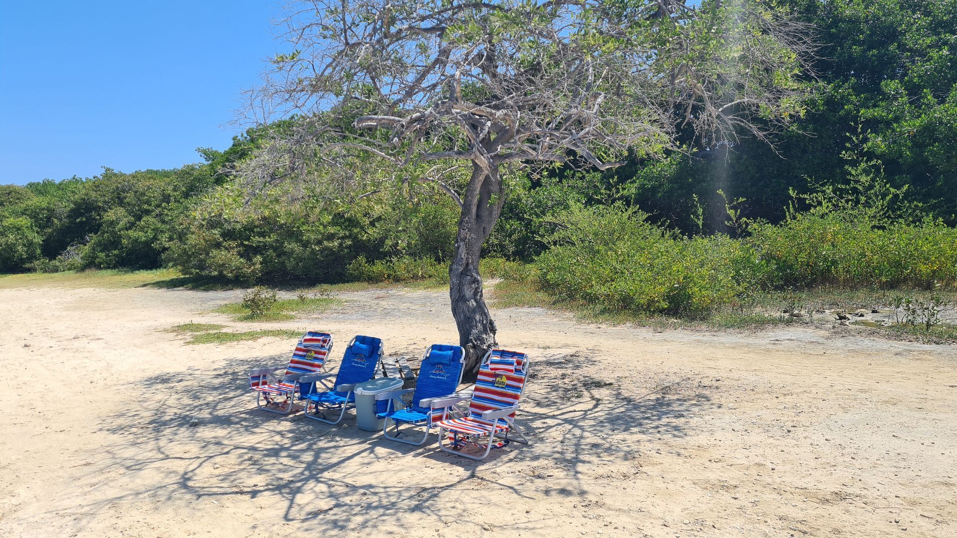 Four chairs on Lac Cai beach on Bonaire 
