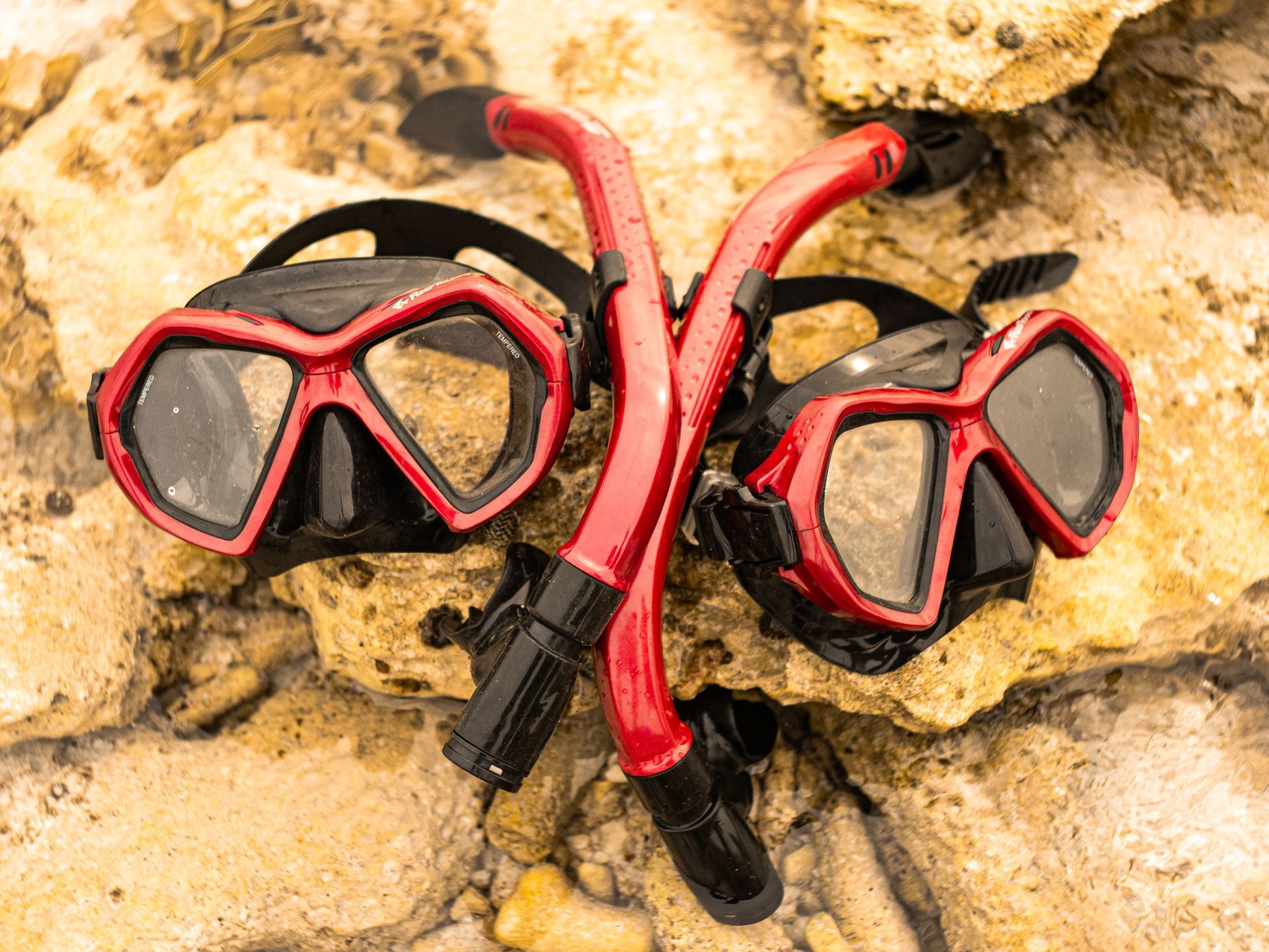 Snorkel mask