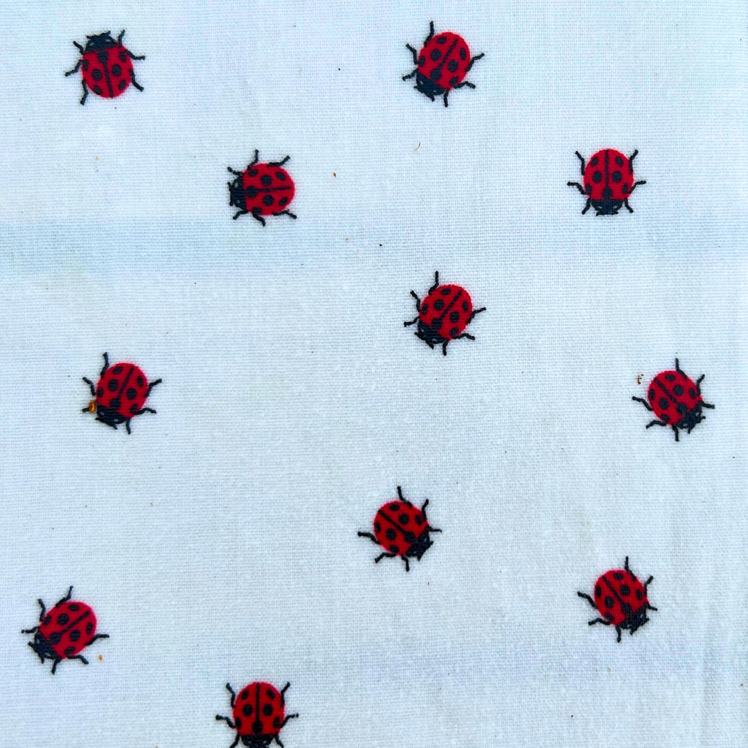 Foodwrap Ladybugs to love! 33x33cm