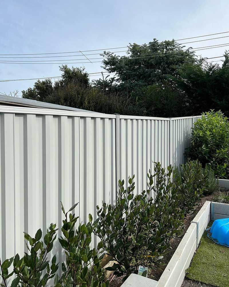 White Corrugated Metal Fence With Green Bushes in Front, Against a Sky With Power Lines — CLF Landscapes in Hawker, ACT