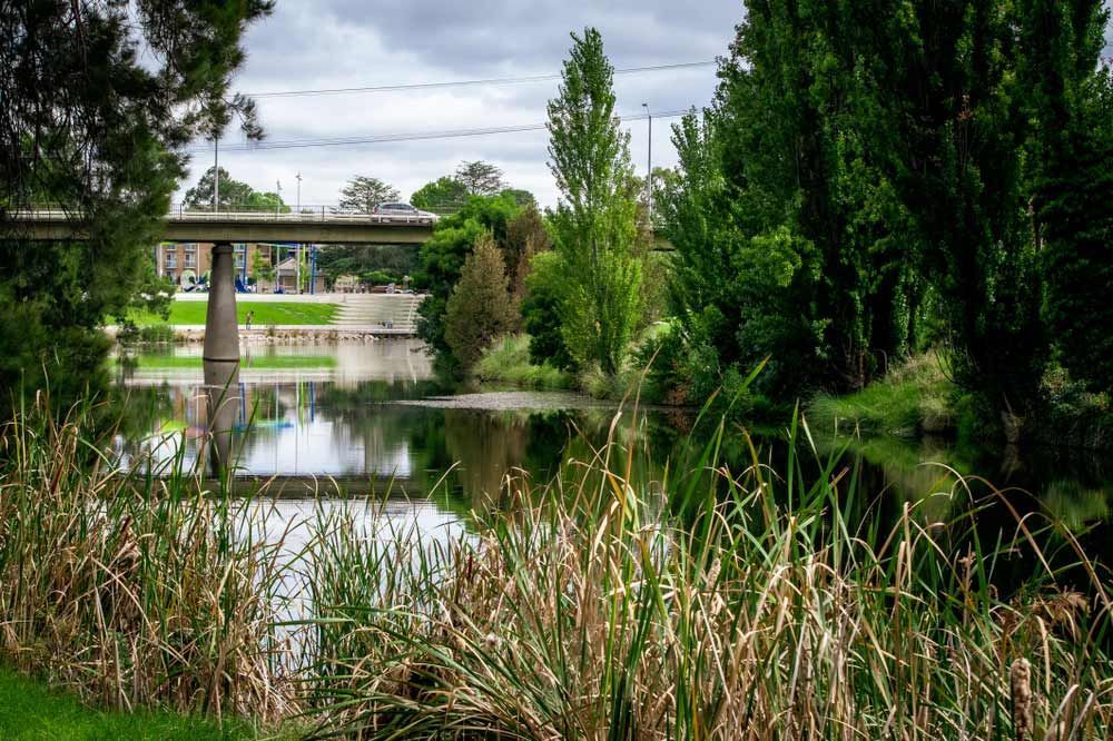 Calm River With Bridge, Lush Green Trees, and Grassy Reeds in the Foreground — CLF Landscapes in Queanbeyan, NSW