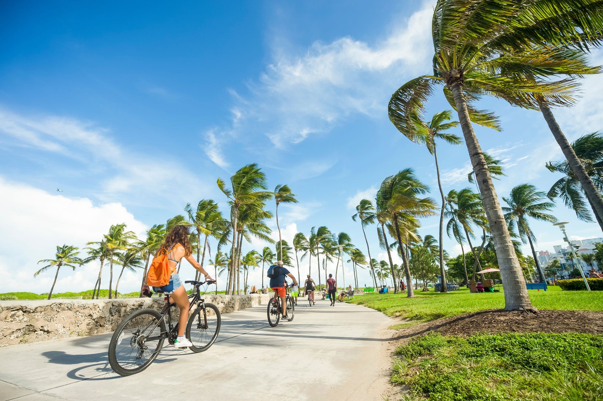 A group of people are riding bicycles down a path next to palm trees.