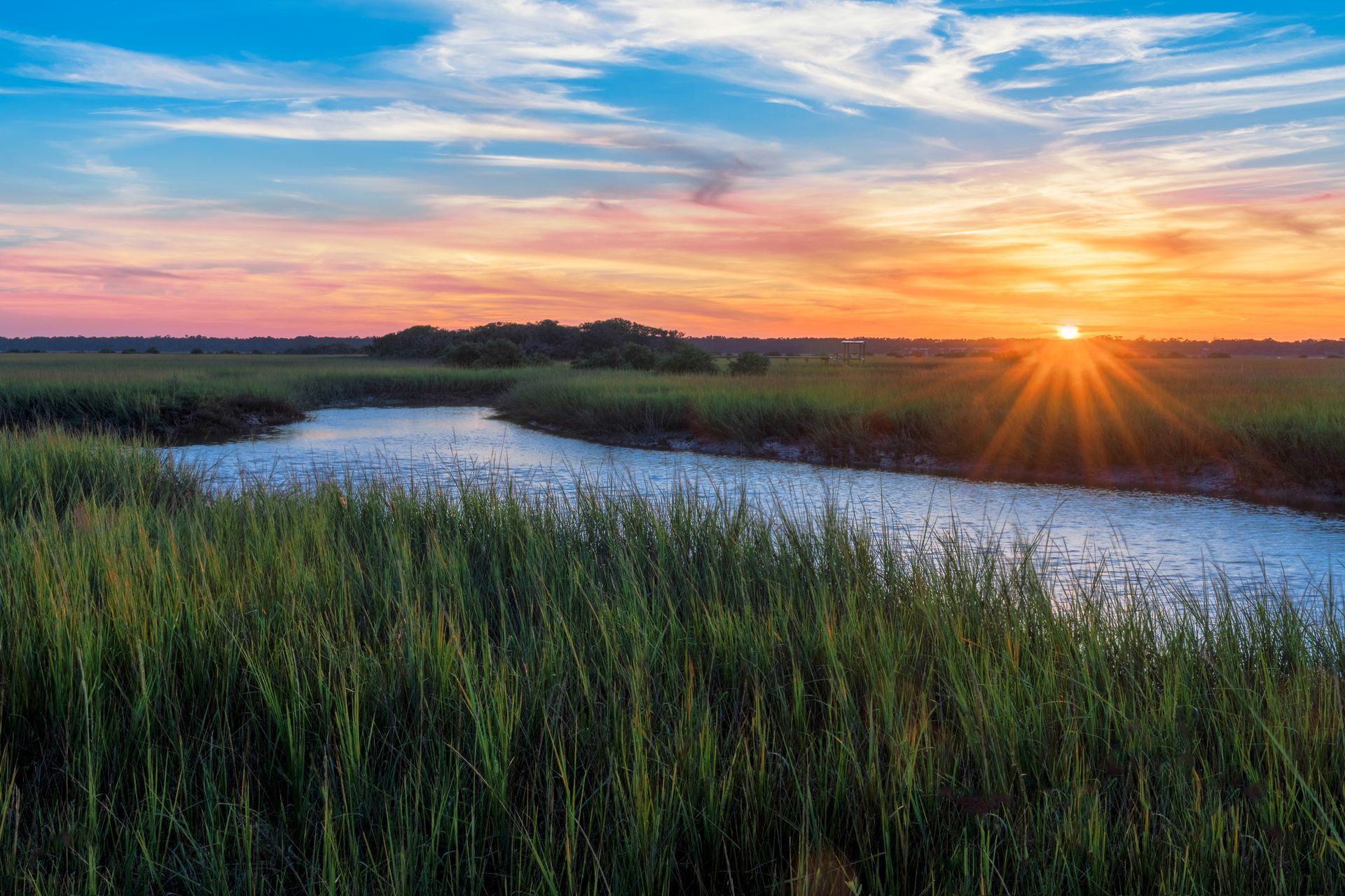 The sun is setting over a river in a swamp.