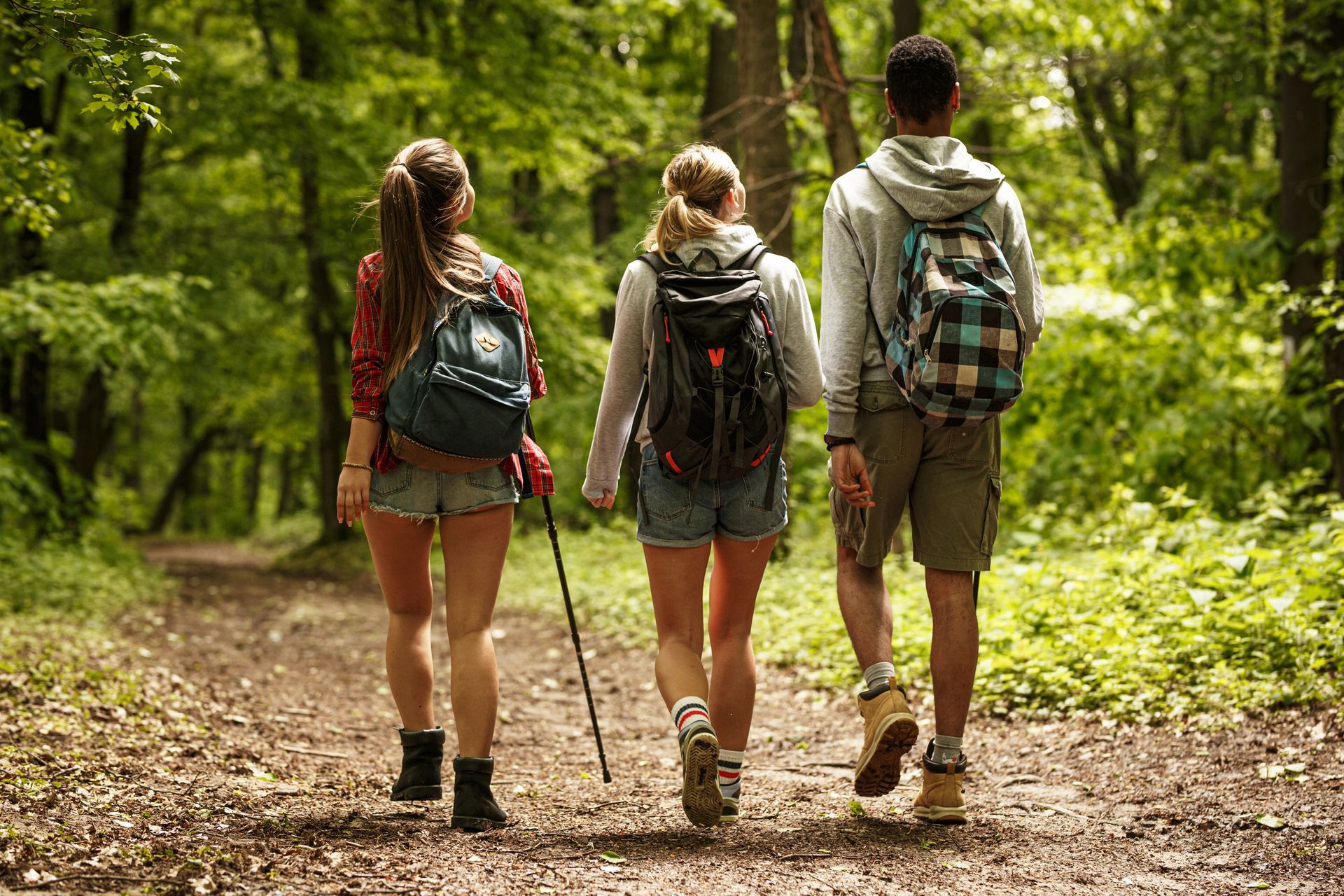 A group of people are walking down a path in the woods.