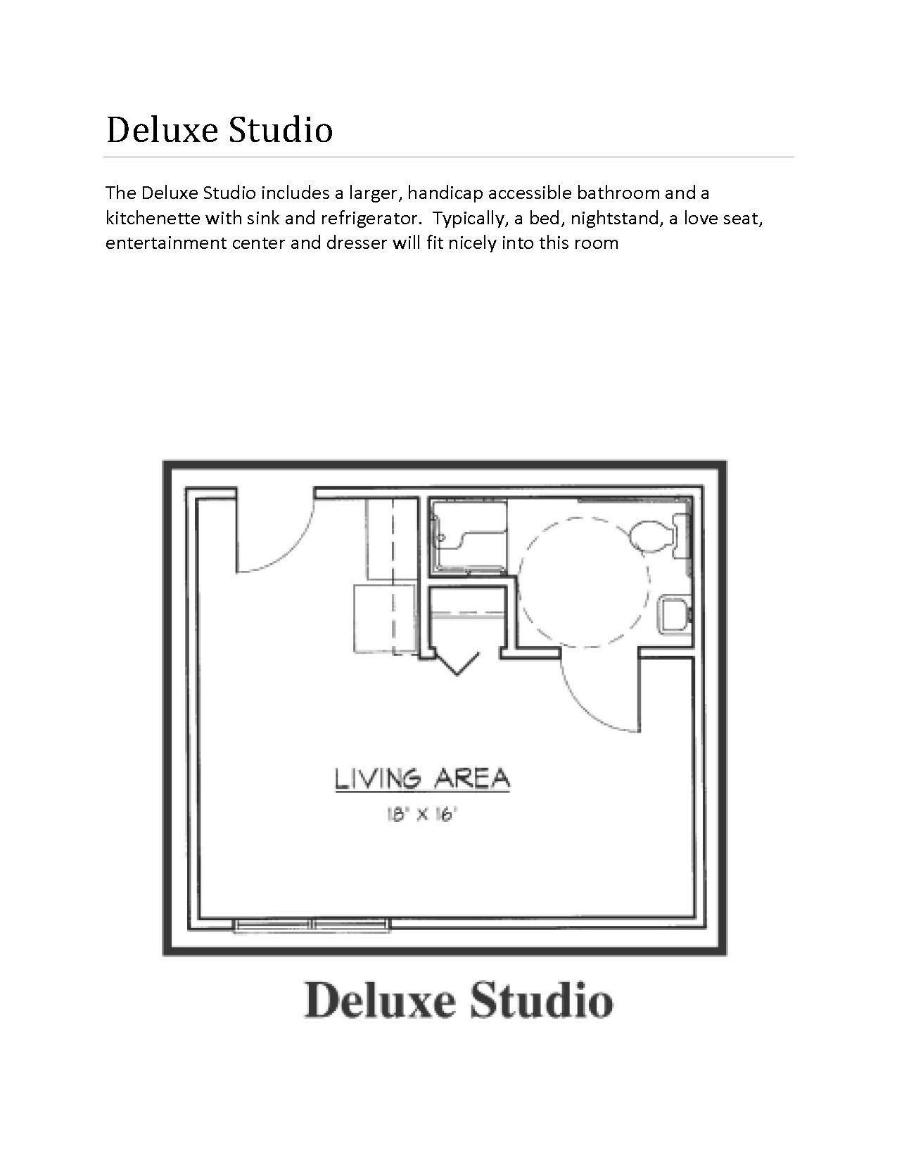Floor plan of a Deluxe Studio apartment, showing the living area, bathroom, and kitchen space.
